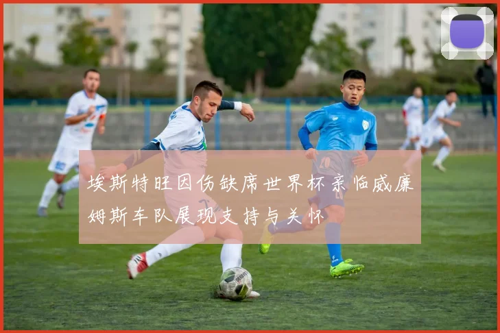 埃斯特旺因伤缺席世界杯亲临威廉姆斯车队展现支持与关怀