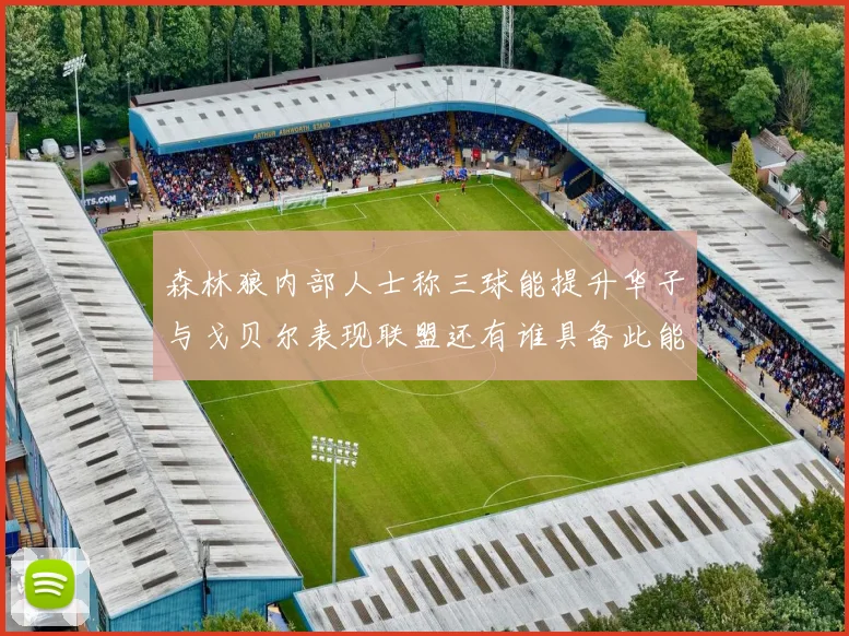 森林狼内部人士称三球能提升华子与戈贝尔表现联盟还有谁具备此能力