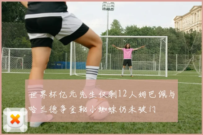 世界杯亿元先生仅剩12人姆巴佩与哈兰德争金靴小蜘蛛仍未破门